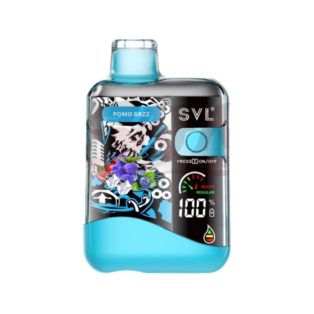 Pomo Brzz - SVL BX12000 Pomegranate Blueberry Raspberry Menthol